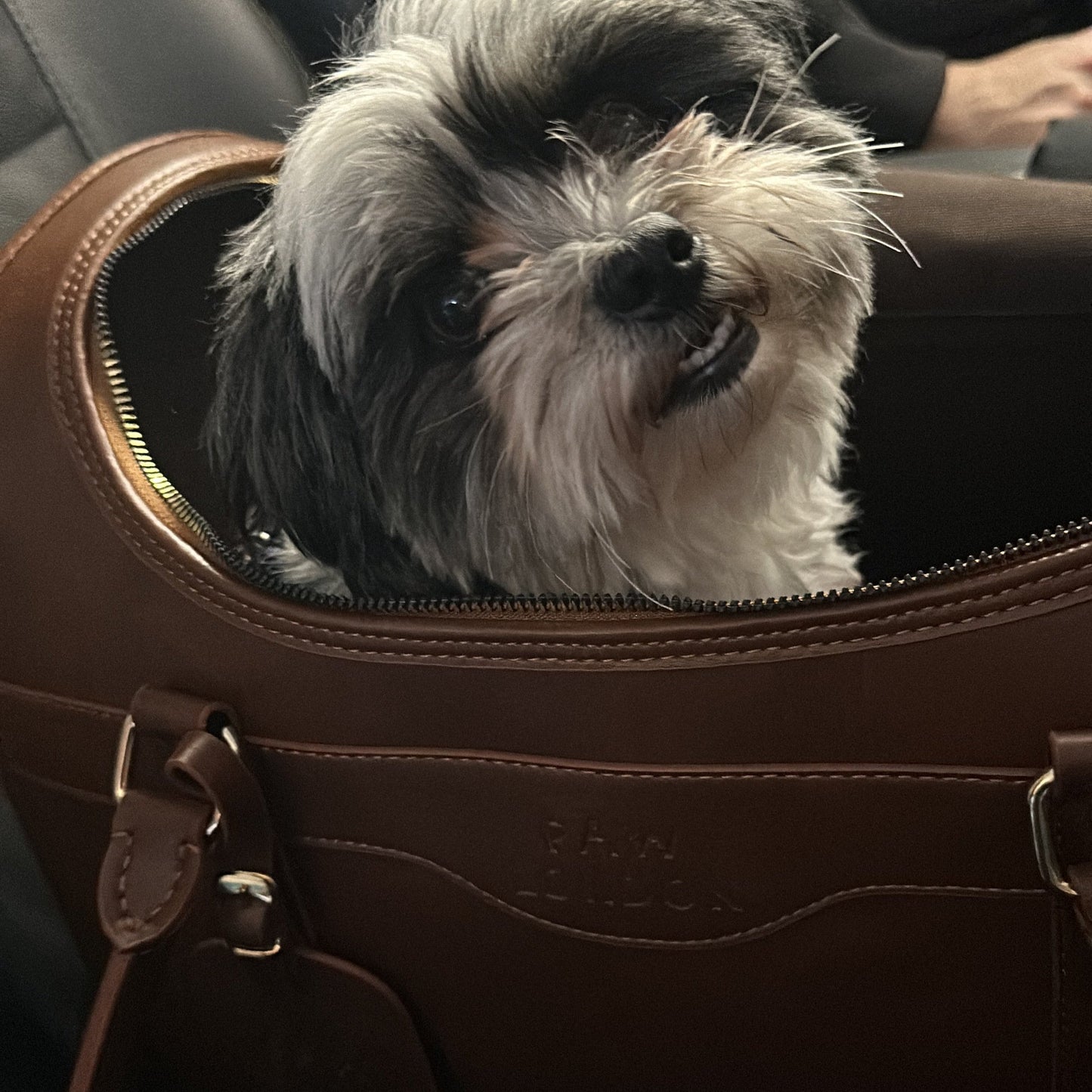 Kelly Airline Approved Pet Travel Carrier Bag | CHOCOLATE š PAW LONDON