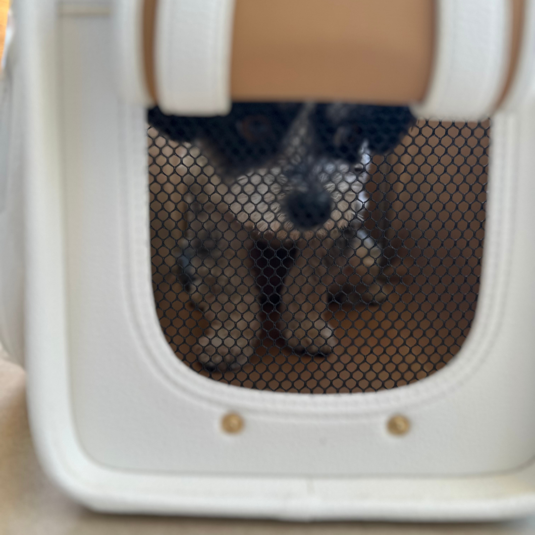 Kelly Airline Approved Pet Travel Carrier Bag | WHITE 🚀 PAW LONDON