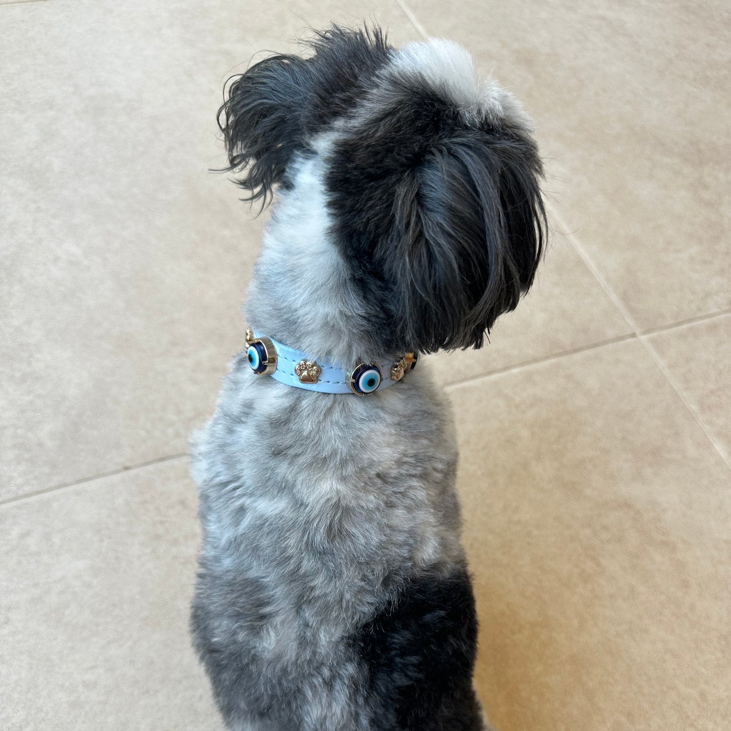 Evil Eye Dog Collar Baby Blue 🧿 PAW LONDON