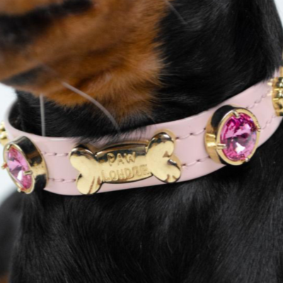 Emma Swarovski Baby Pink Dog Collar 💎 PAW LONDON