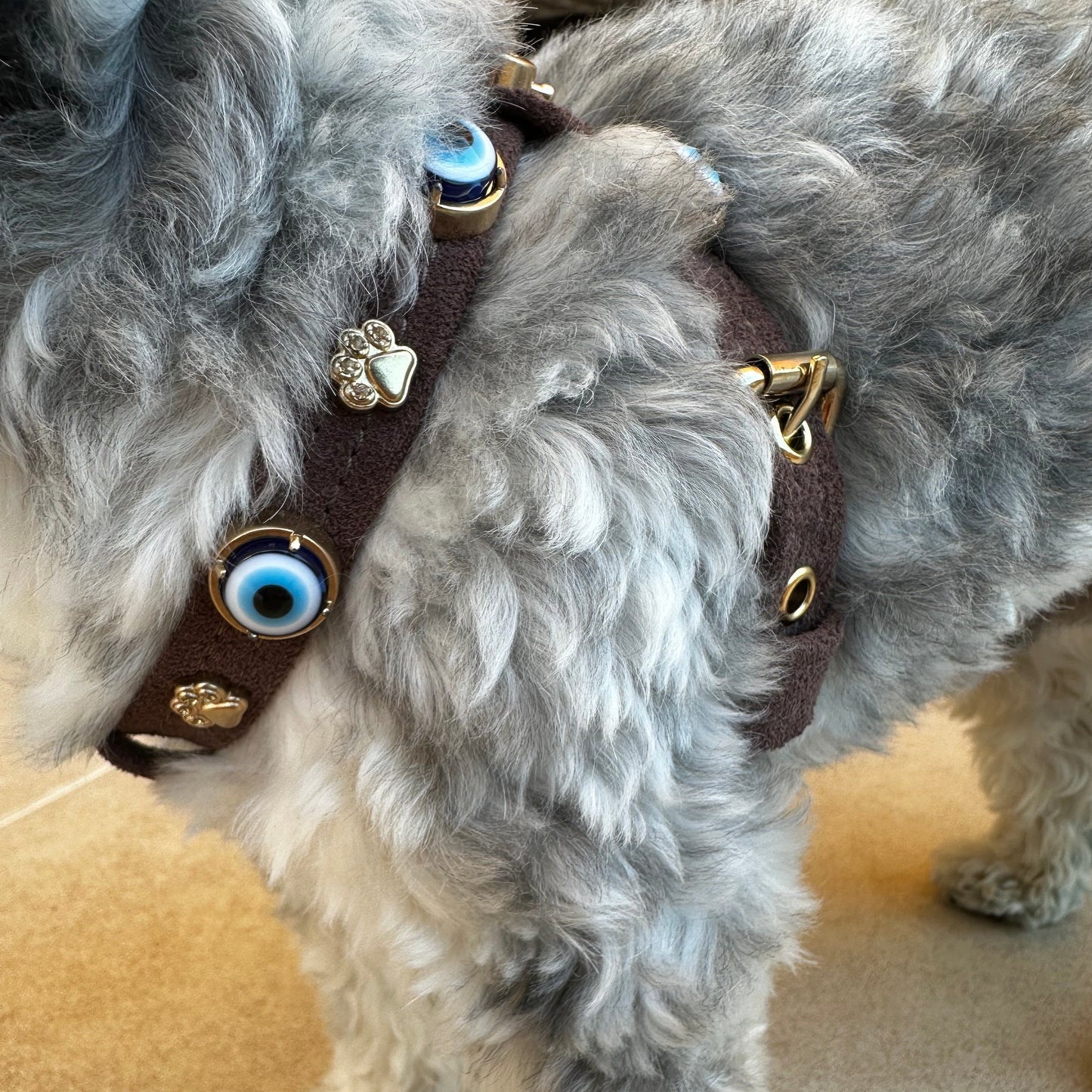 Suede Evil Eye Dog Harness | Dark Chocolate 🧿 PAW LONDON
