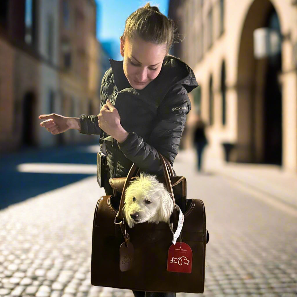 Kelly Airline Approved Pet Travel Carrier Bag | CHOCOLATE š PAW LONDON