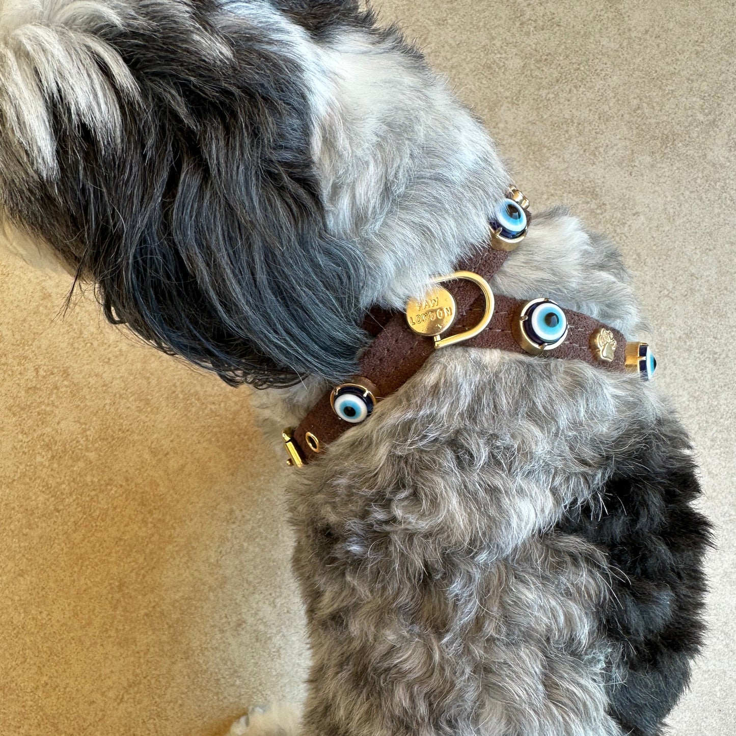 Suede Evil Eye Dog Harness | Dark Chocolate 🧿 PAW LONDON
