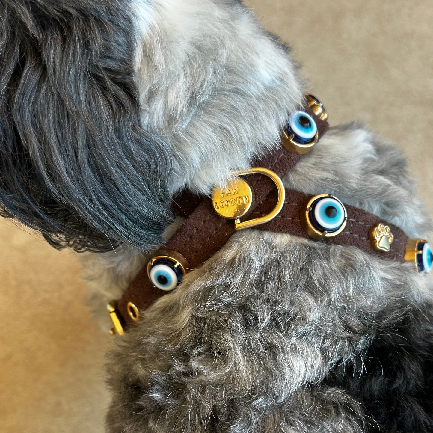 Suede Evil Eye Dog Harness | Dark Chocolate 🧿 PAW LONDON