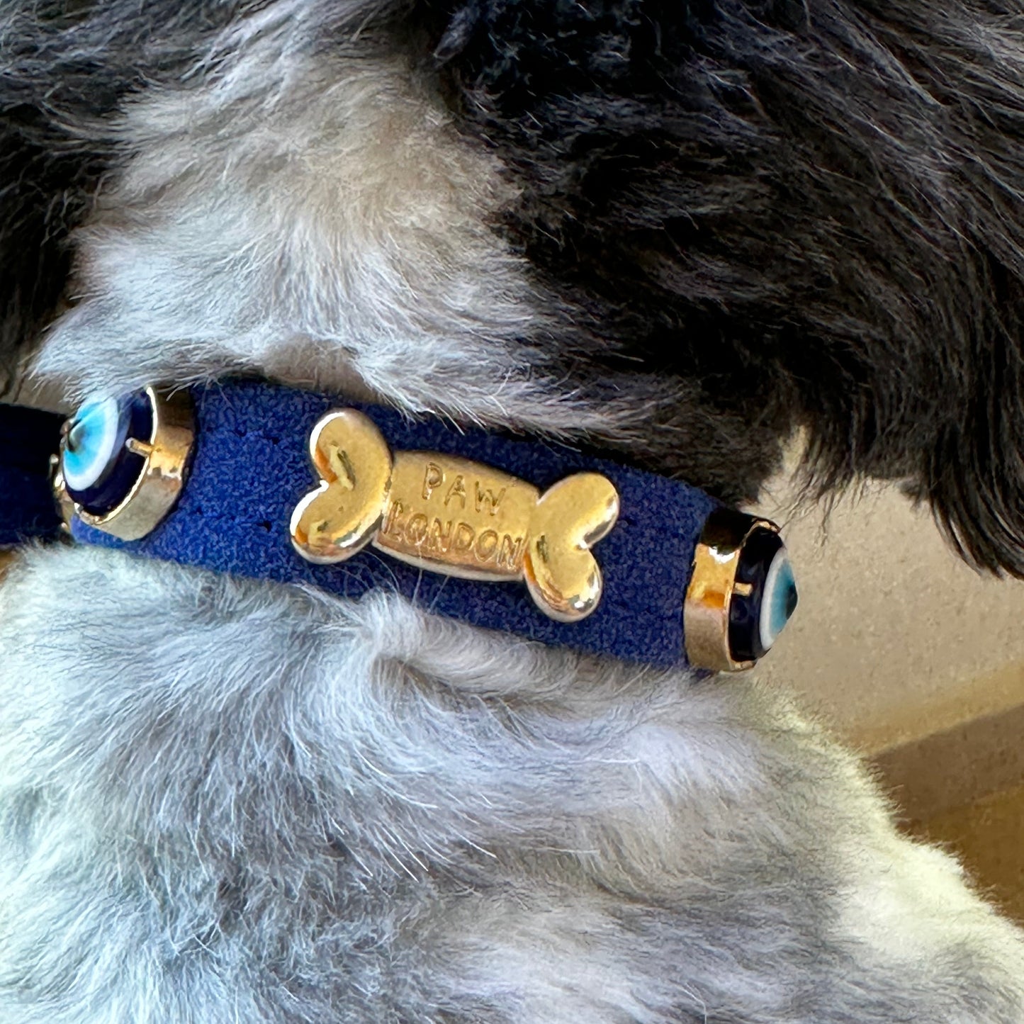 Suede Evil Eye Dog Collar | Royal Blue PAW LONDON