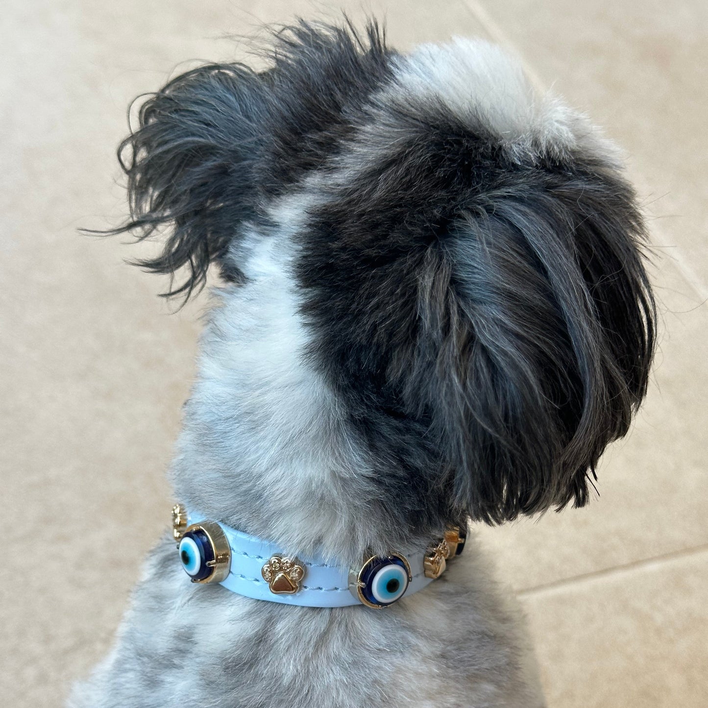 Evil Eye Dog Collar Baby Blue 🧿 PAW LONDON