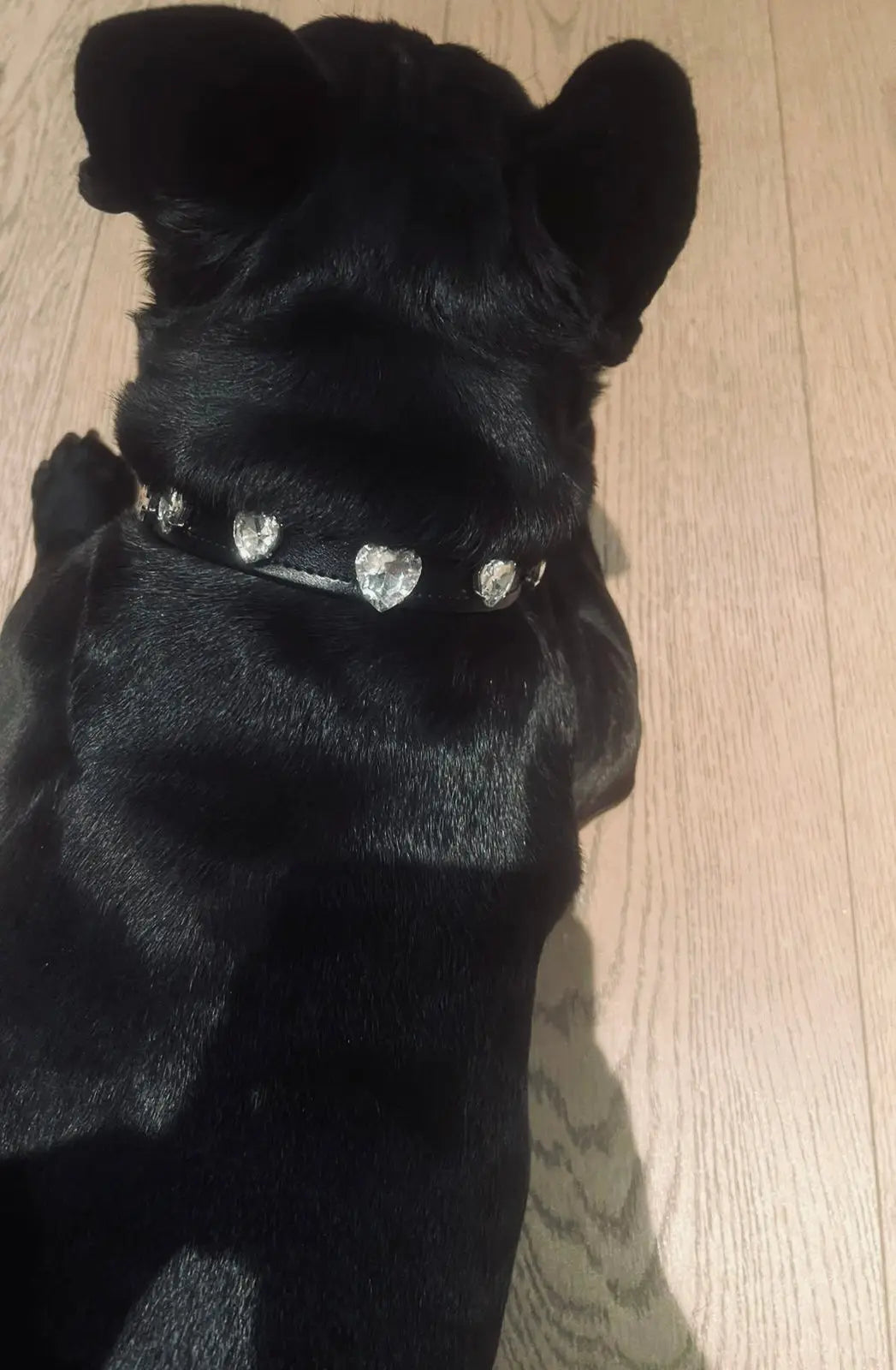 Heart Swarovski Black Dog Collar 🖤 PAW LONDON