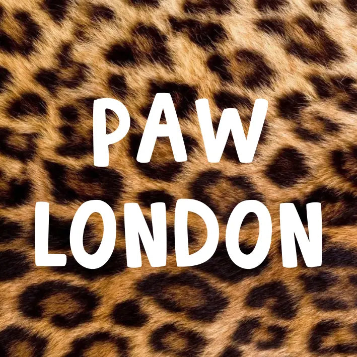 Leopard Black Swarovski Dog Collar 💎 PAW LONDON