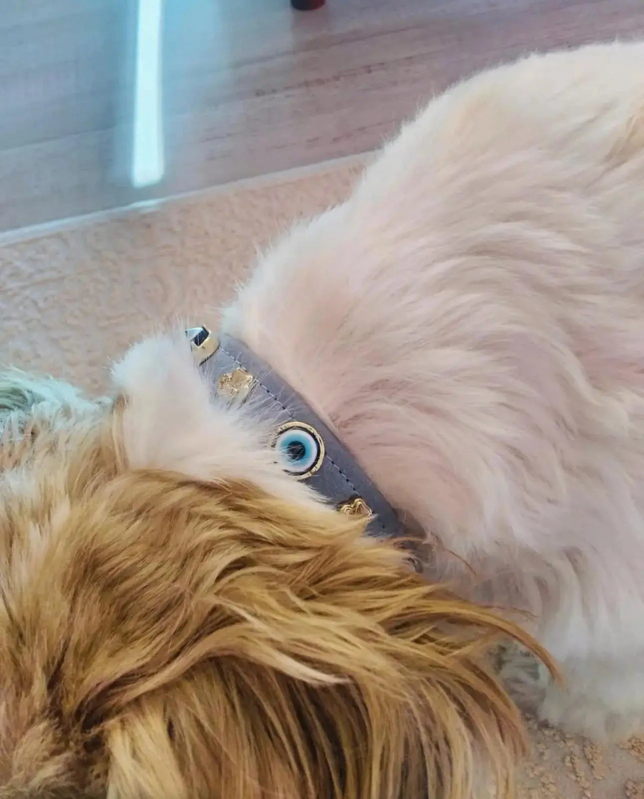 Suede Evil Eye Dog Collar | Azure Blue ⚜️ PAW LONDON