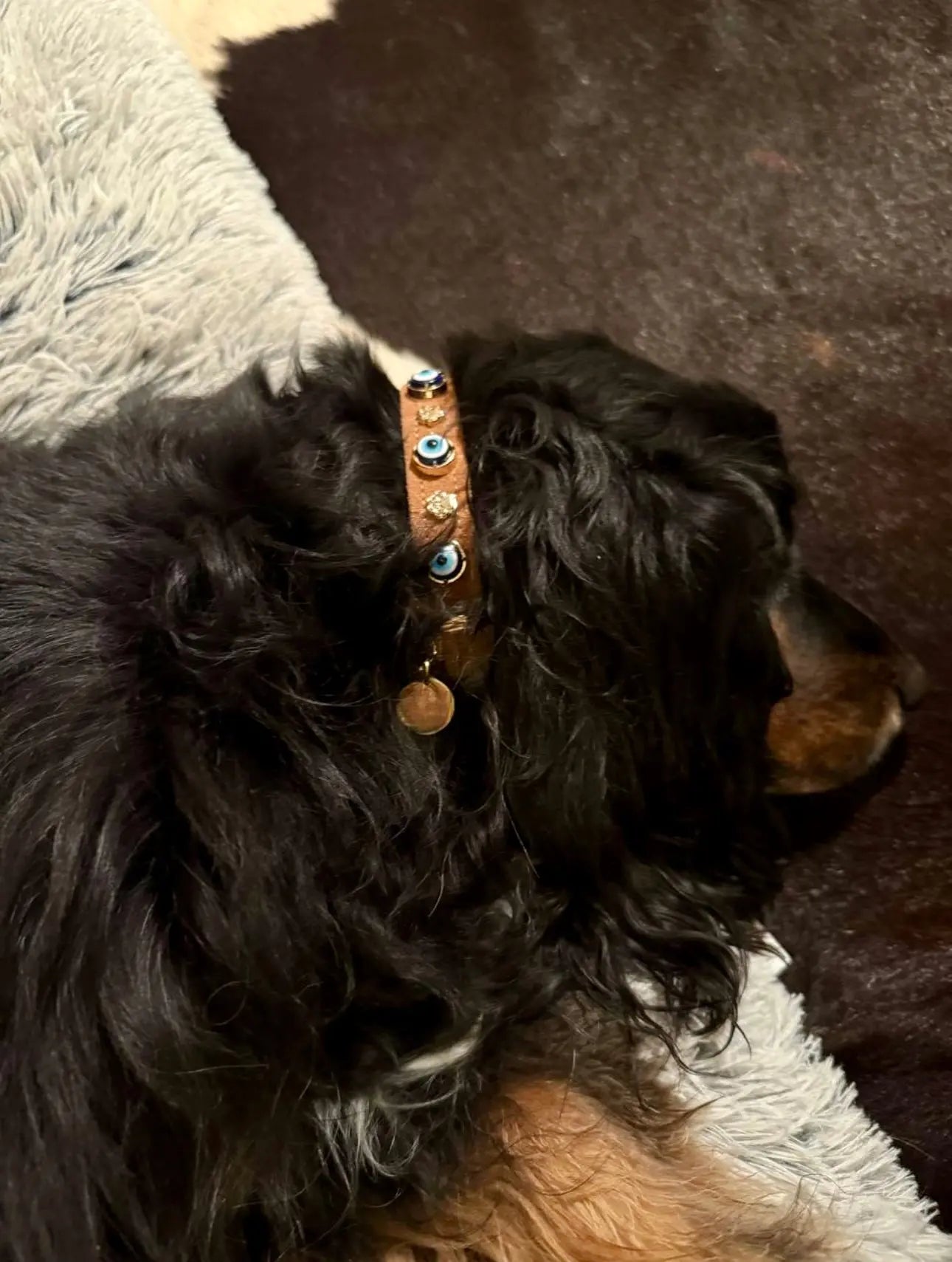 Suede Evil Eye Dog Collar | Shiraz Brown ⚜️ PAW LONDON