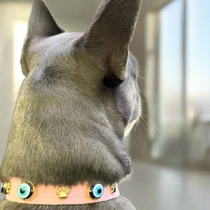 Suede Evil Eye Dog Collar | Sugar Pink 🦄 PAW LONDON