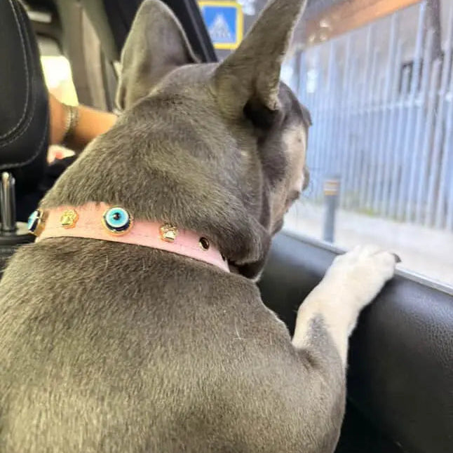 Suede Evil Eye Dog Collar | Sugar Pink 🦄 PAW LONDON