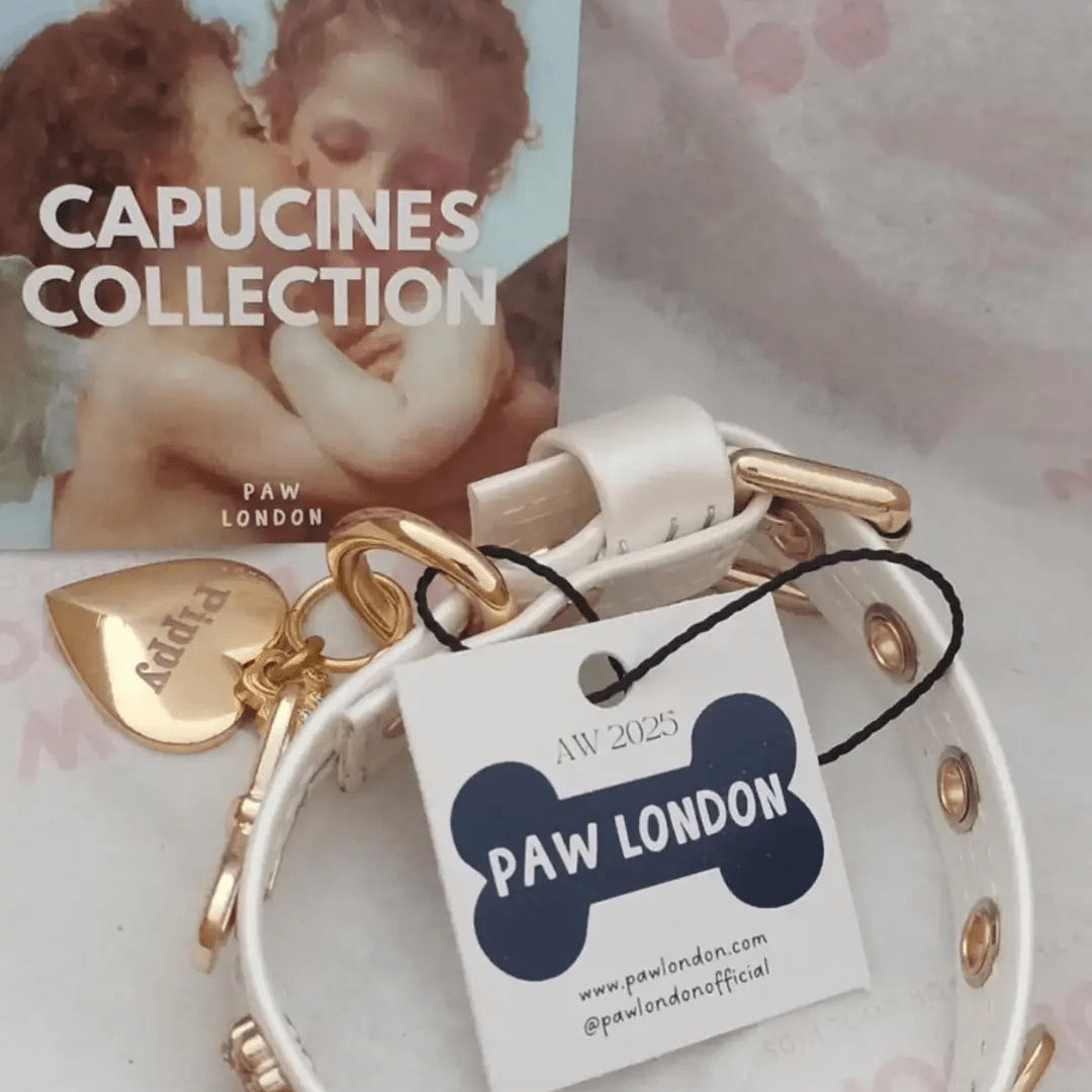 Bow Bone Dog Collar | Cream 🎀 - PAW LONDON