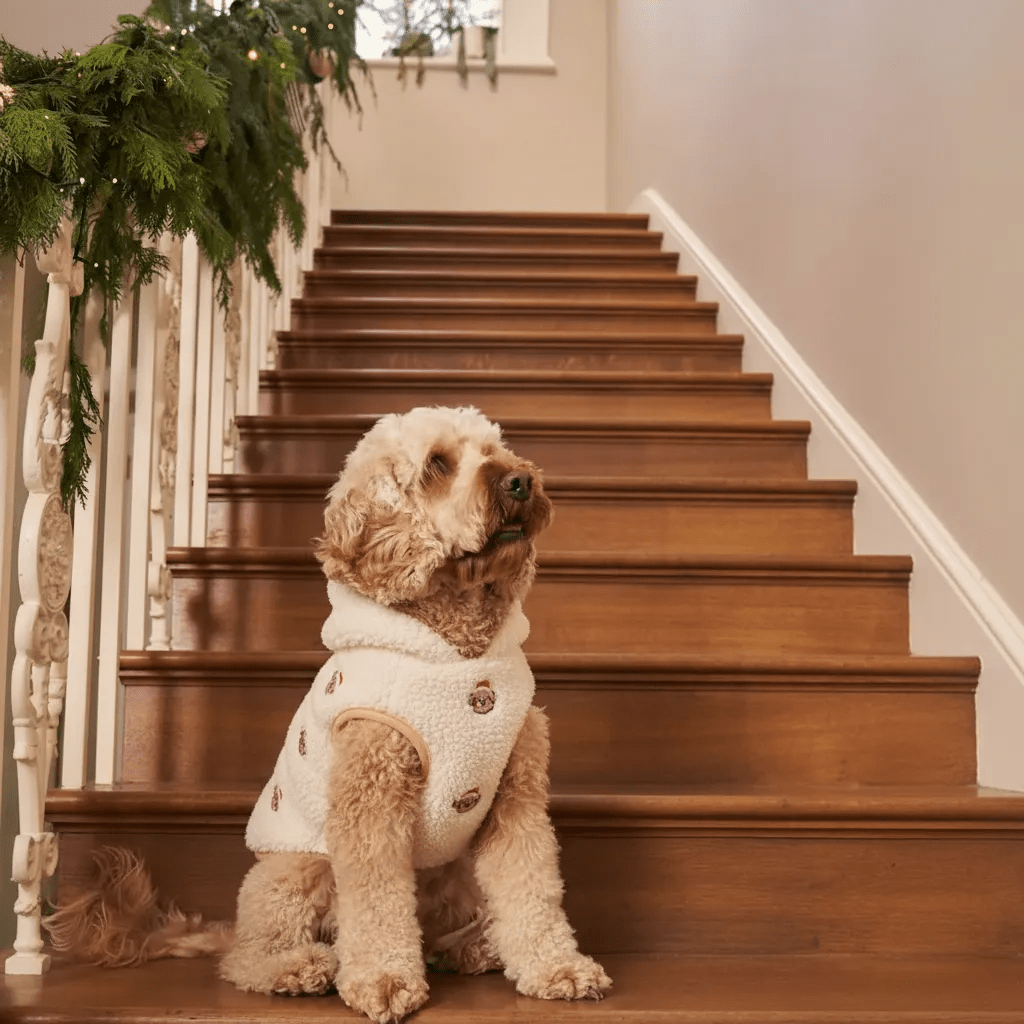 Festive Santa Dog Winter Coat 🎅🏻 - PAW LONDON