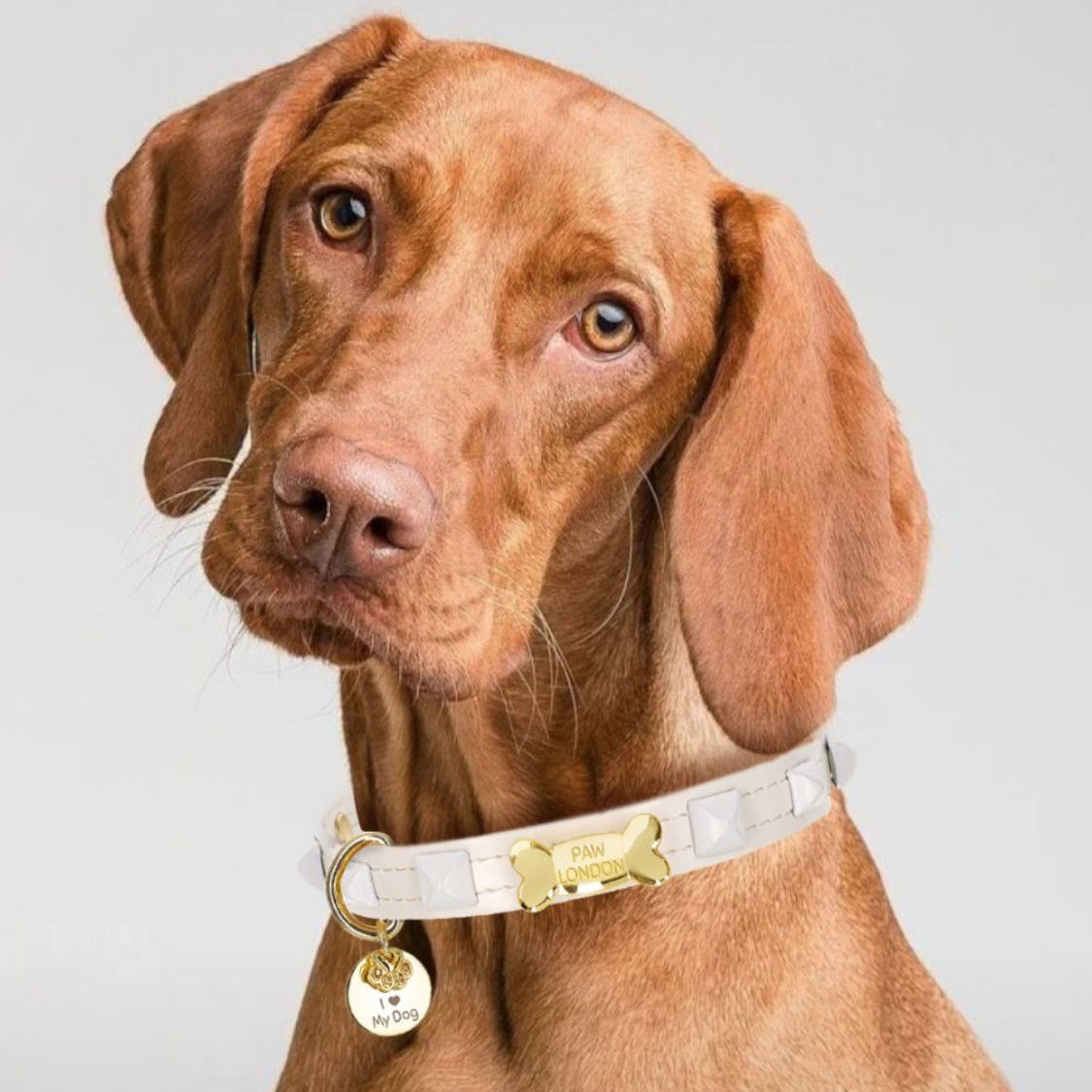 Pawlentino Rockstud Dog Collar | White on White 🪨 - PAW LONDON