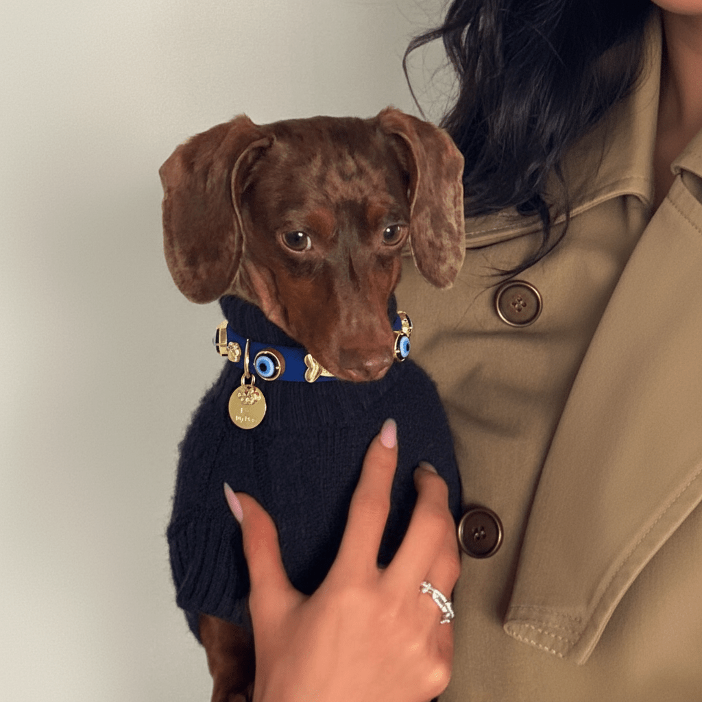 Suede Evil Eye Dog Collar | Royal Blue ๐ - PAW LONDON