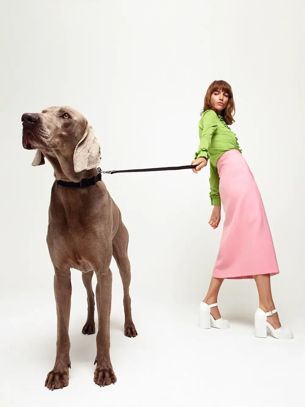 The Joy and Challenges of Being a Dog Mom - PAW LONDON