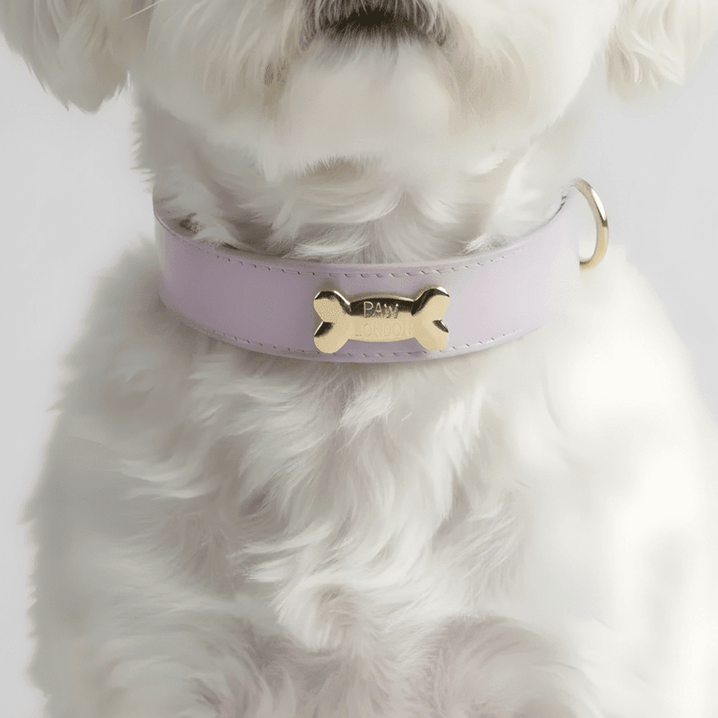 Basic Collection - PAW LONDON