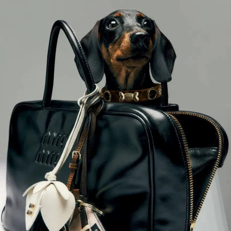 Bestsellers - PAW LONDON