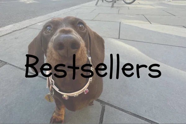 Bestsellers | Top 10 - PAW LONDON