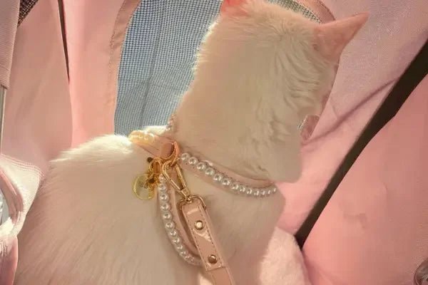 Cat Collection - PAW LONDON