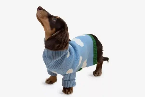 Clothes - PAW LONDON