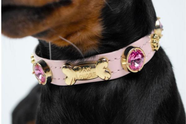 Collars - PAW LONDON