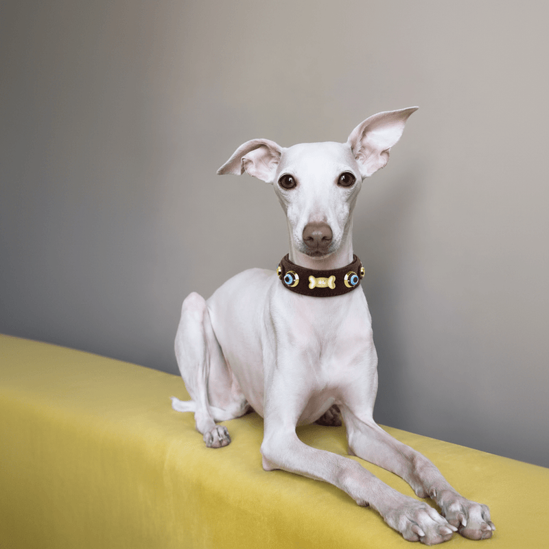 Sighthound Collection - PAW LONDON