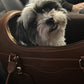 Kelly Airline Approved Pet Travel Carrier Bag | CHOCOLATE 🚀 PAW LONDON
