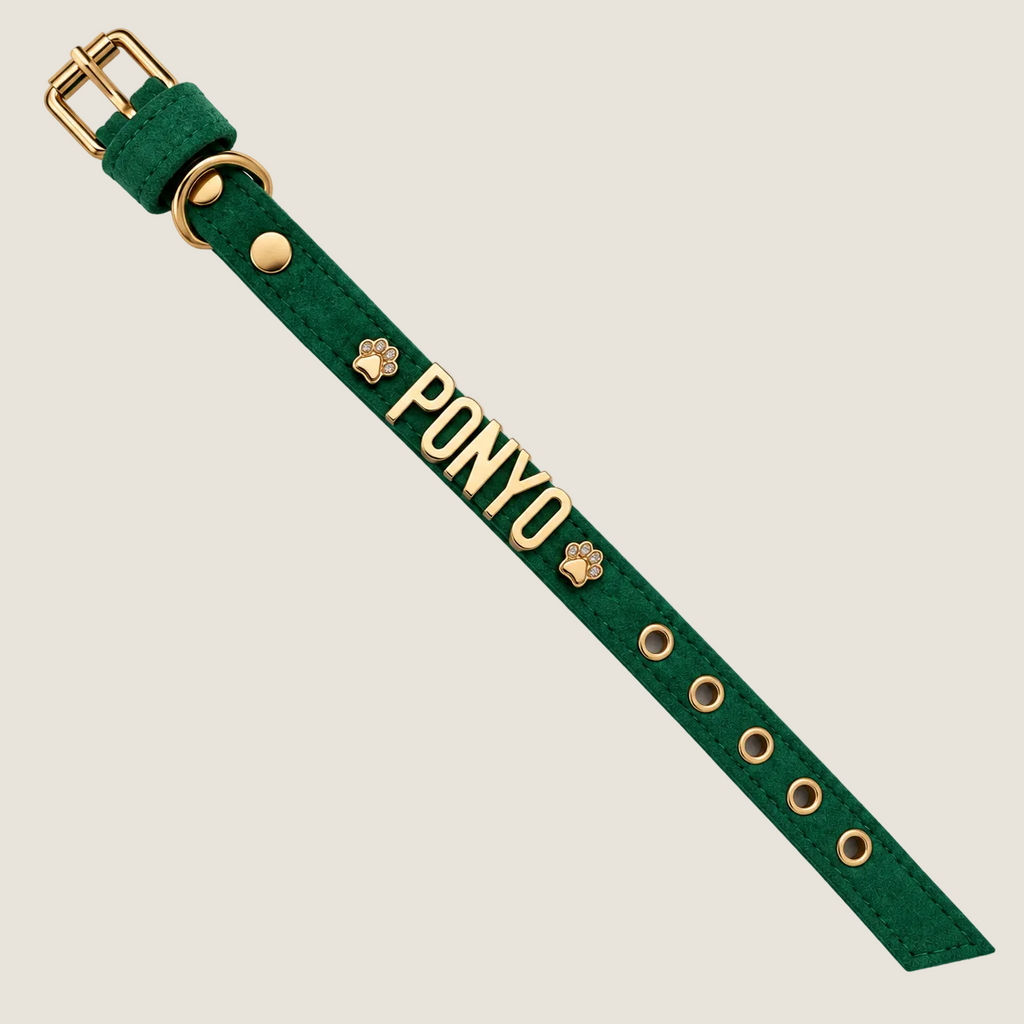 Personalised Dog Collar | Write Your Pet's Name