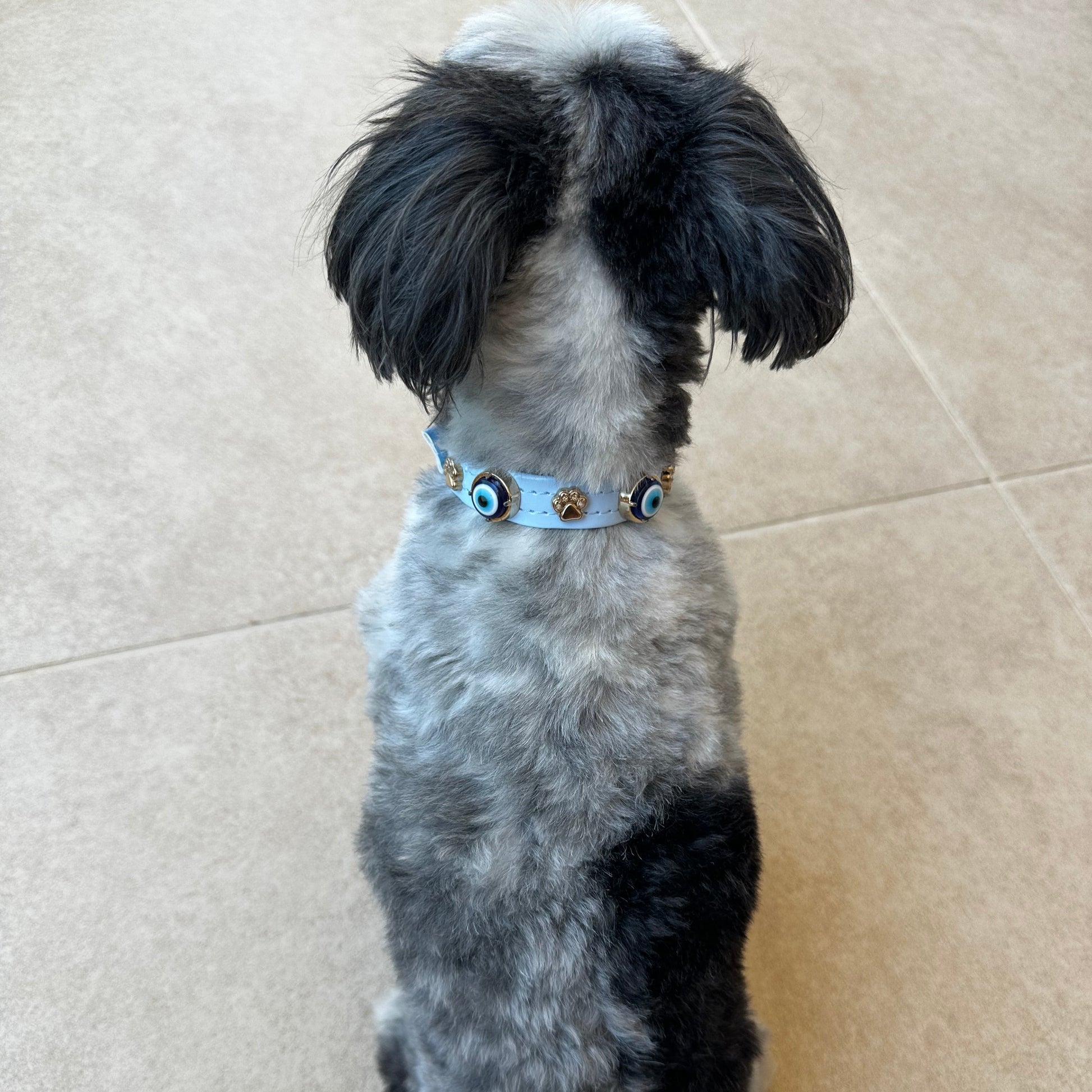Evil Eye Dog Collar Baby Blue 🧿 PAW LONDON