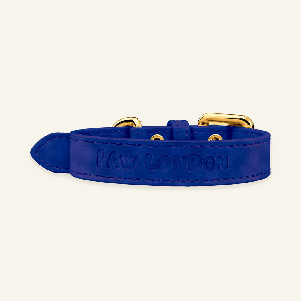 Basic Light Dog Collar | Royal Blue Textured