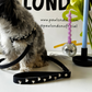 Lovefool Denim Dog Harness | Noir 🖤 PAW LONDON