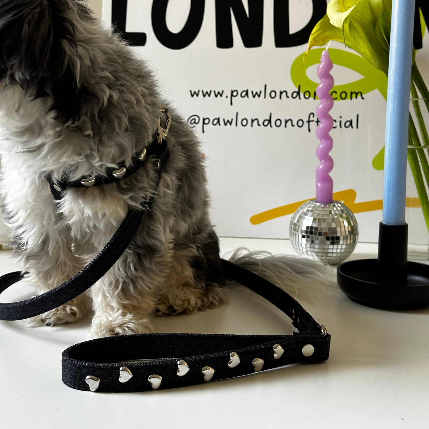 Lovefool Denim Dog Harness | Noir 🖤 PAW LONDON