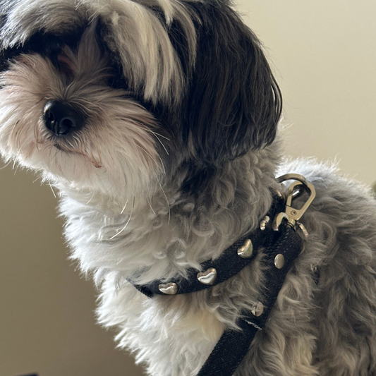 Lovefool Denim Dog Harness | Noir 🖤 PAW LONDON