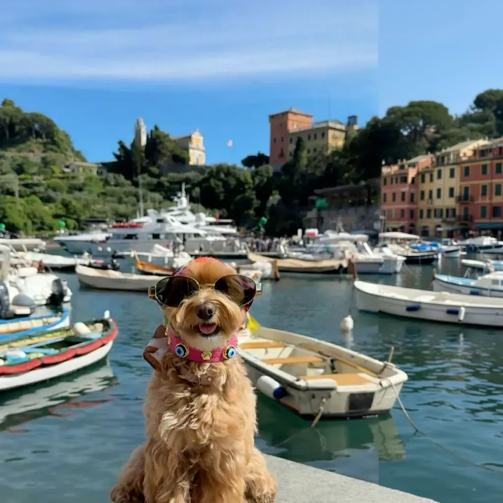 Suede Evil Eye Dog Collar | Hot Pink 💘