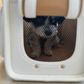 Kelly Airline Approved Pet Travel Carrier Bag | WHITE 🚀 PAW LONDON