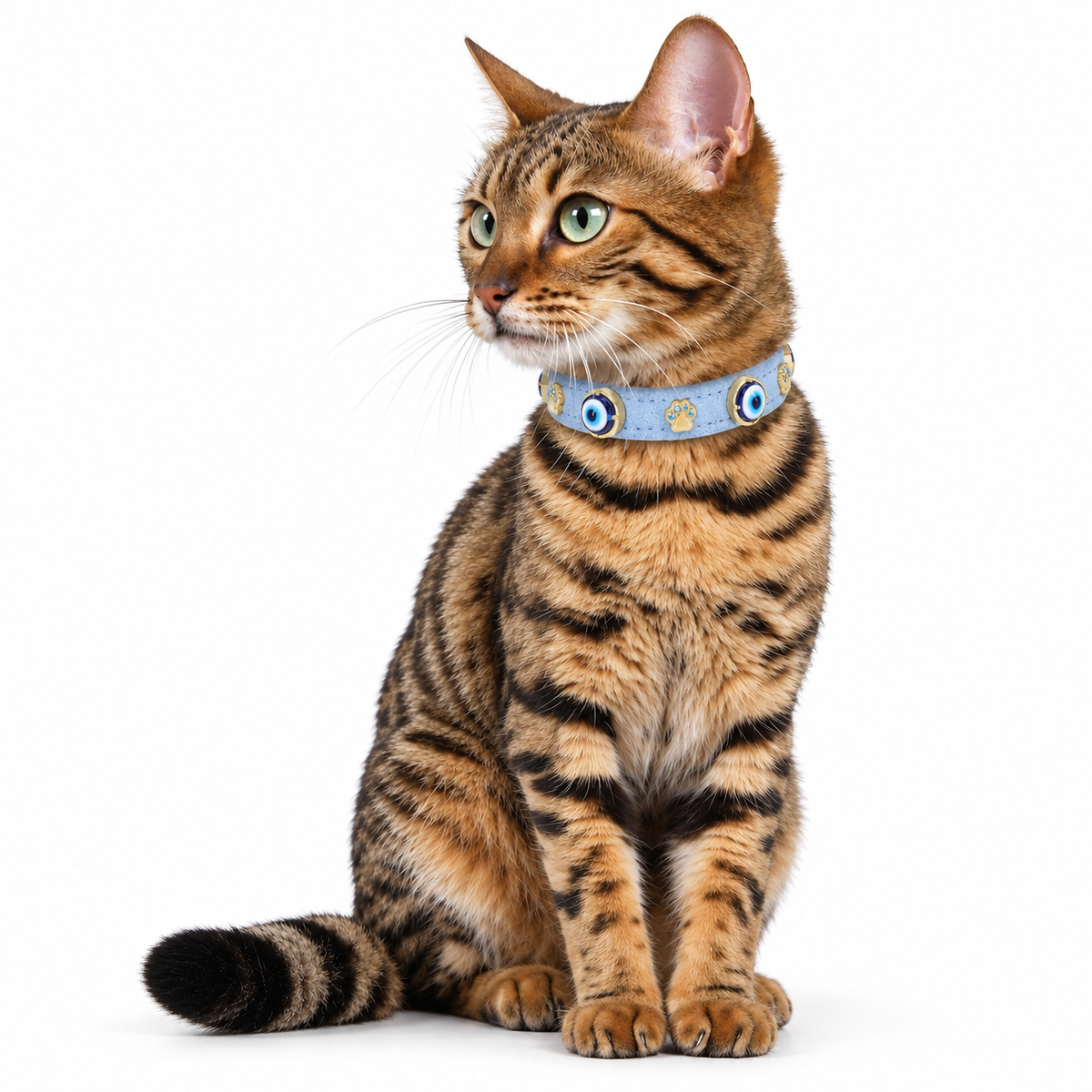 Suede Evil Eye Cat Collar | Azure Blue
