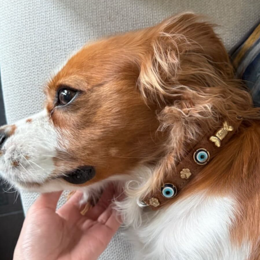 Suede Evil Eye Dog Collar | Cinnamon ⚜️ PAW LONDON