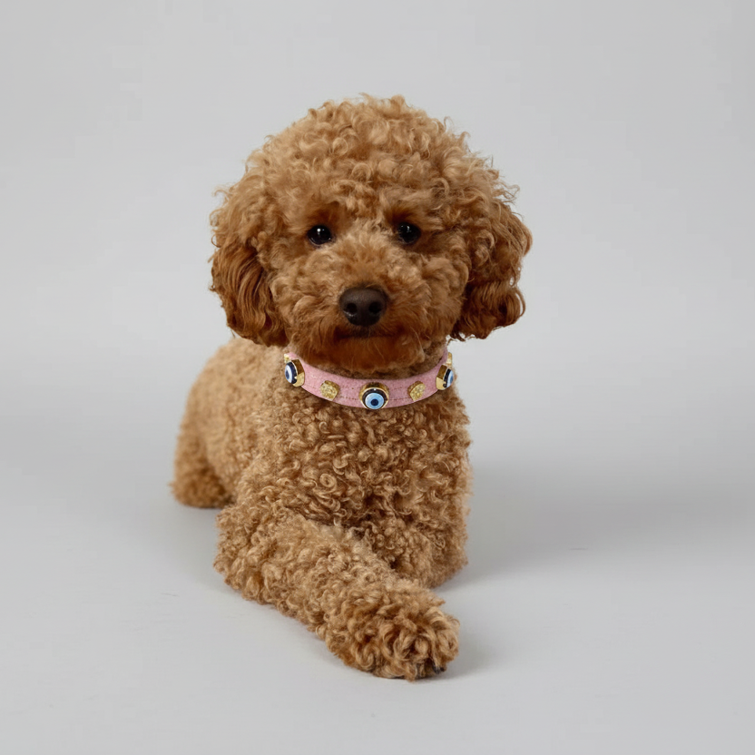 Wildleder-Hundehalsband mit bösem Blick | Zuckerrosa 🦄