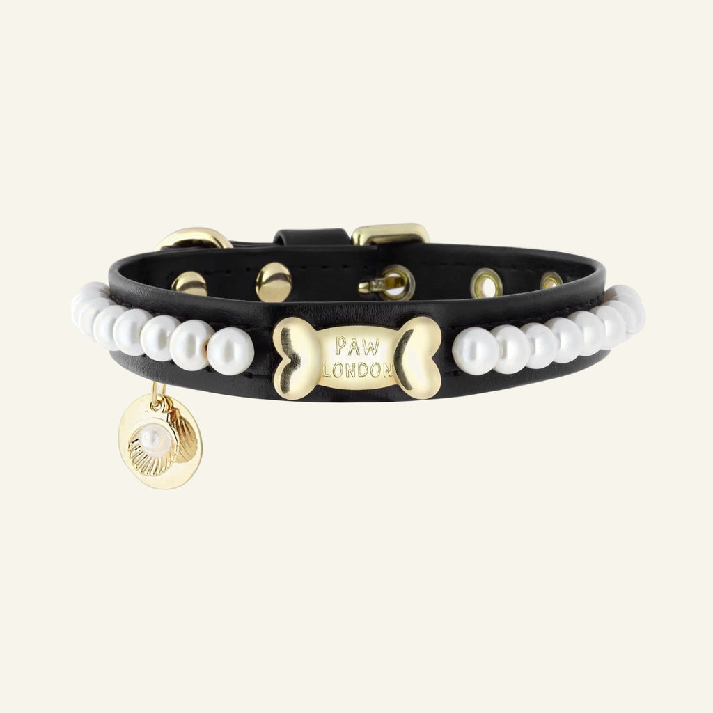Collar para perro Tahití Perla Negro 🖤