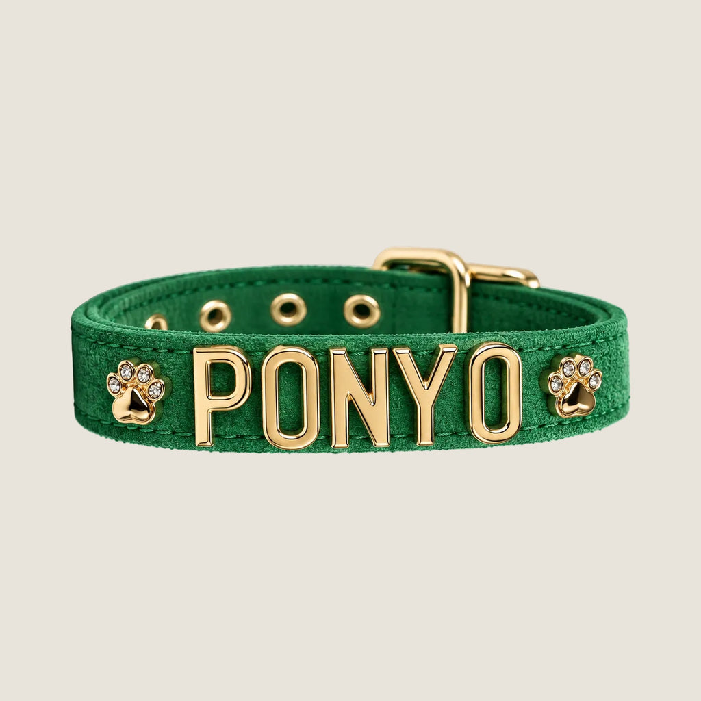 Personalised Dog Collar | Write Your Pet's Name