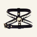 Arnés para perros Tahiti Pearl | Negro 🖤