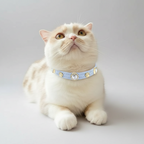 Louis Blue Swarovski®  Cat Collar