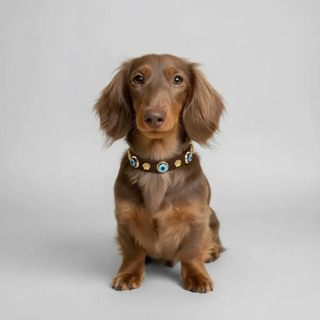 Suede Evil Eye Dog Collar | Bitter Chocolate 🍫