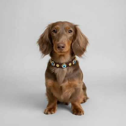 Suede Evil Eye Dog Collar | Bitter Chocolate 🍫