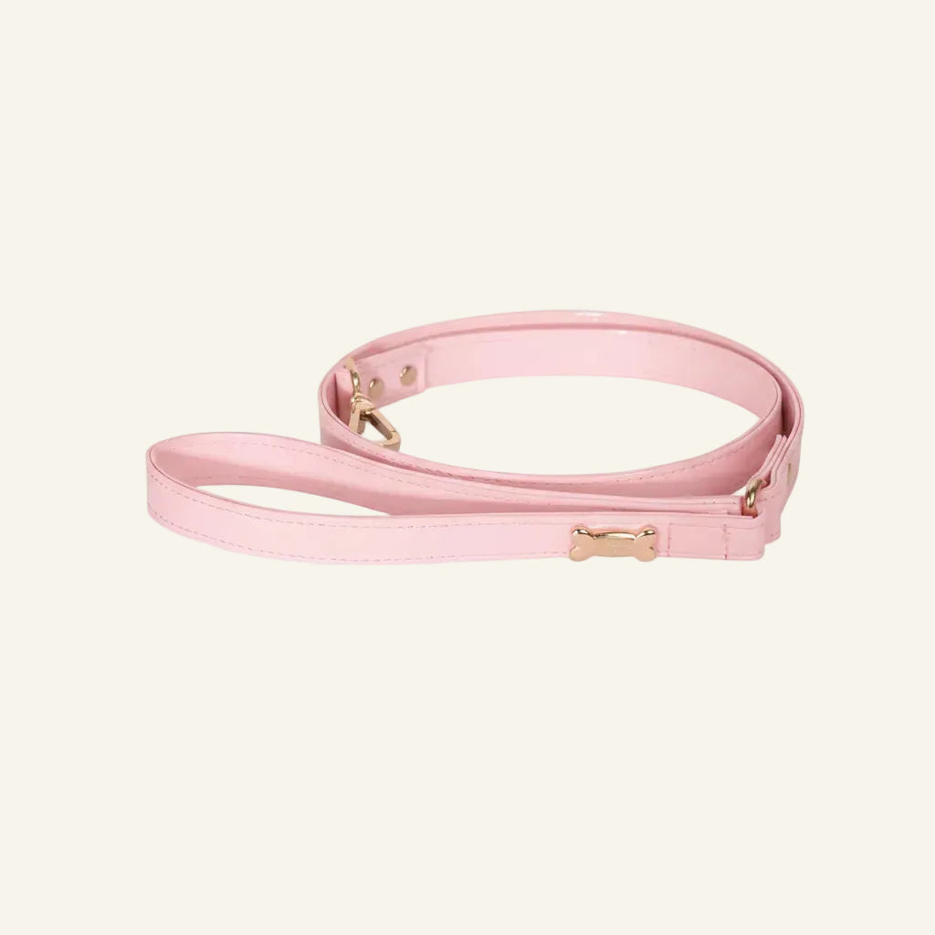 Dog Lead with Gold Plated Bone | Candy