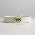 Snow Dog Collar