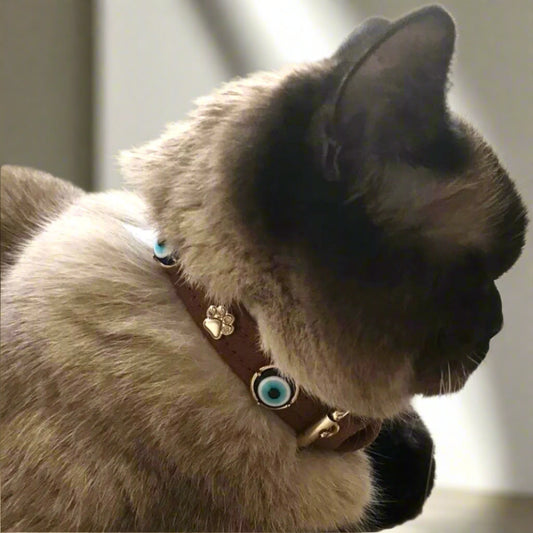 Suede Evil Eye Cat Collar | Brown 🧿 PAW LONDON