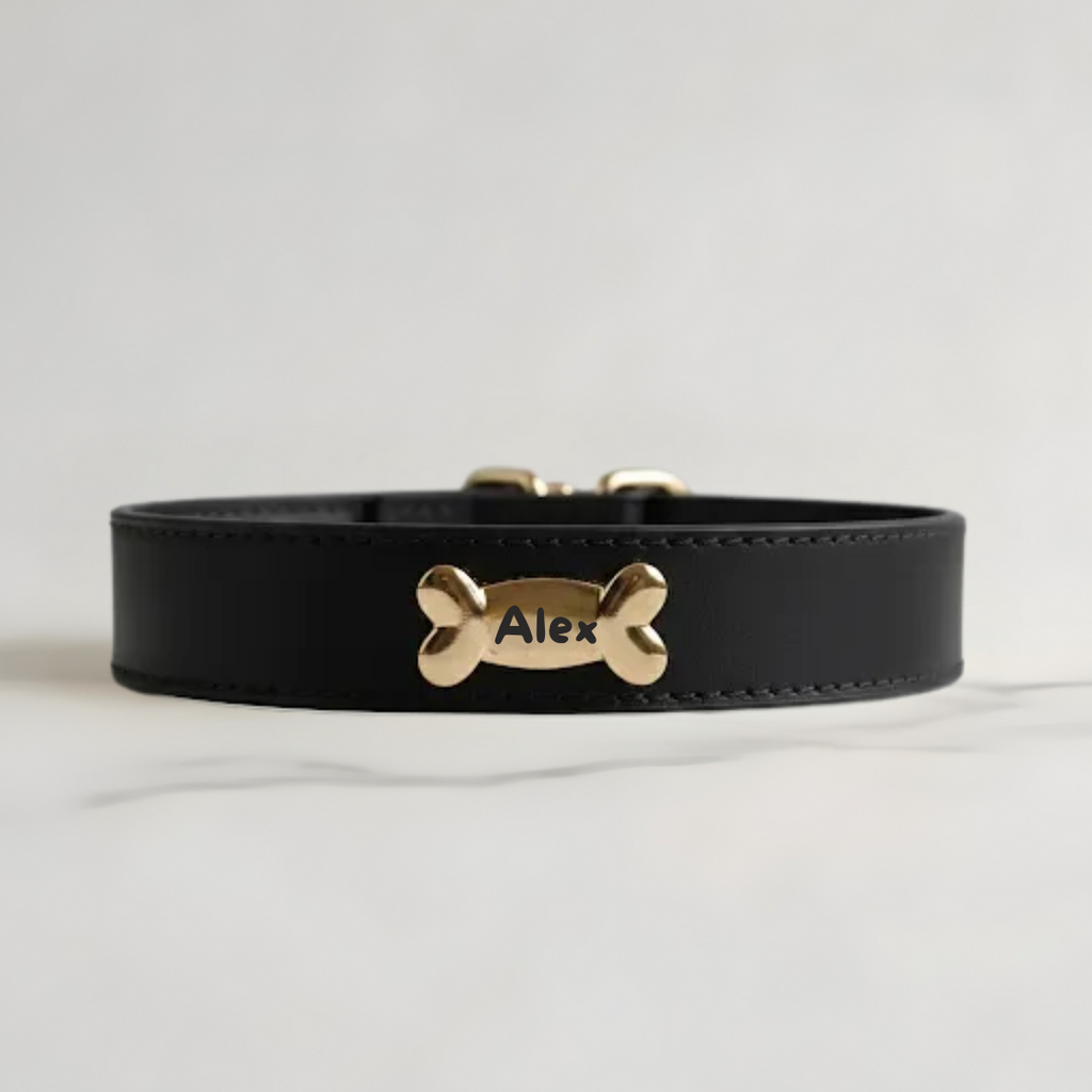 Pawlentino Rockstud Hundehalsband | Schwarz 🪨